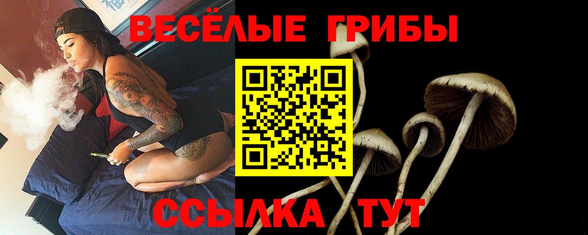 Псилоцибиновые грибы MAGIC MUSHROOMS Ипатово