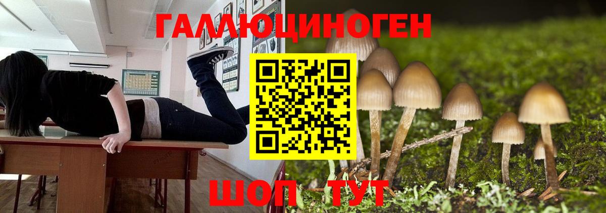 Ипатово  Галлюциногенные грибы Magic Shrooms  хочу   Вход с VPN 